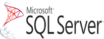MS SQL Logo
